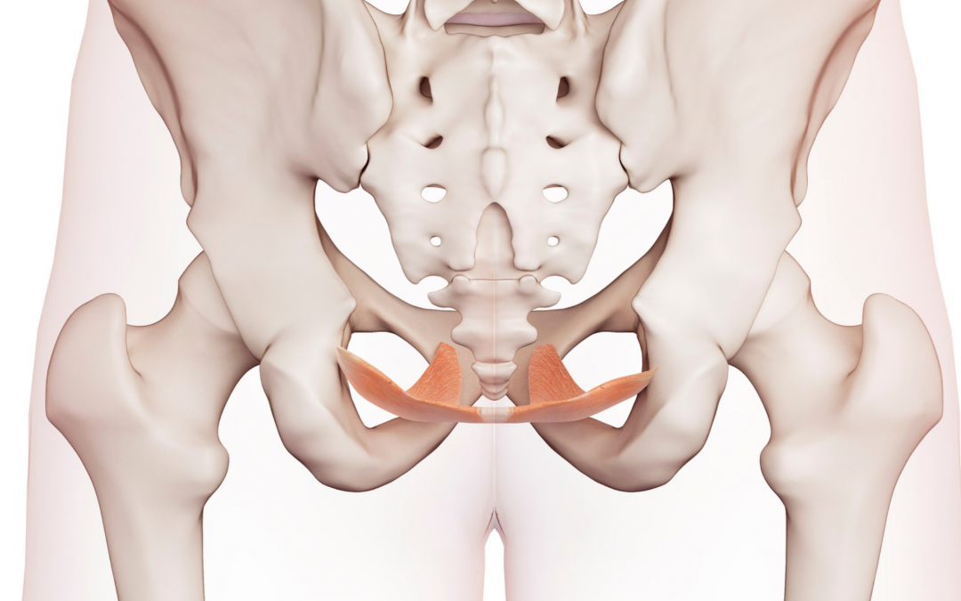 Vaginal Rejuvenation (Yes or No)?